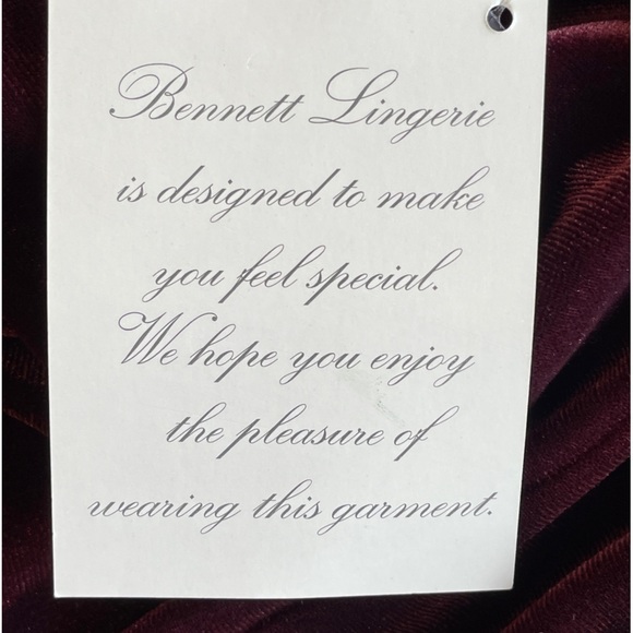 Jacalyn Bennett NEW Fairy Velvet Maxi Dress Burgundy Velvet Surplice V Neck Med - Picture 9 of 9